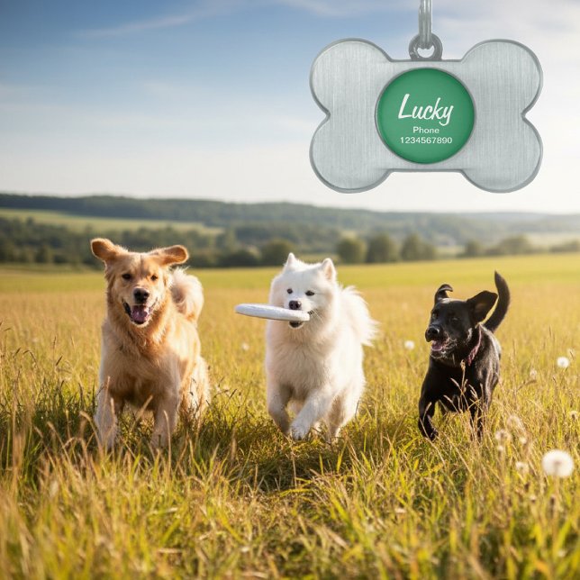 Médaillons Pour Animaux Domestiques Identificateur de col de chien pour animaux de com (dog tag keychain)