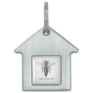 Médaillons Pour Animaux Domestiques Illustration d'antiquité de l'insecte de la reine 