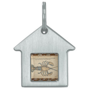 Médaillons Pour Animaux Domestiques Illustration de homard, fruits de mer du Maine
