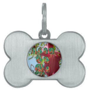 Médaillons Pour Animaux Domestiques Inspiration Lean On Me Floral Skyward Art Imprimer