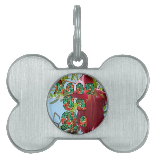 Médaillons Pour Animaux Domestiques Inspiration Lean On Me Floral Skyward Art Imprimer (Devant)