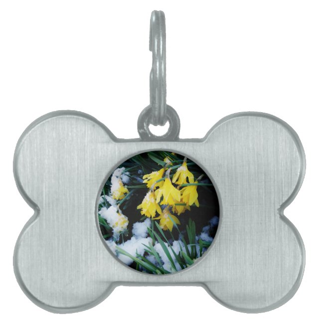 Médaillons Pour Animaux Domestiques Jaune Daffodils fleurs dans la neige (Devant)