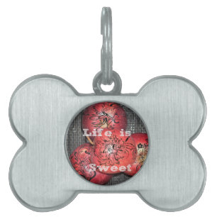 Médaillons Pour Animaux Domestiques La vie est douce : Apple et Floral Motif Design