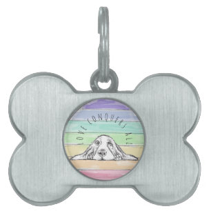 Médaillons Pour Animaux Domestiques l'amour conquiert tout chien arc-en-ciel basset ho