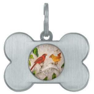 Médaillons Pour Animaux Domestiques Les oiseaux cardinaux. Chant d'amour