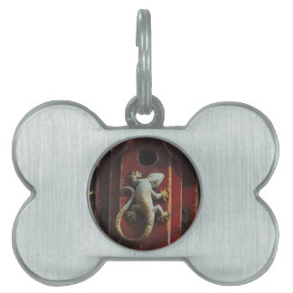 Médaillons Pour Animaux Domestiques lézard gris sur bois usé