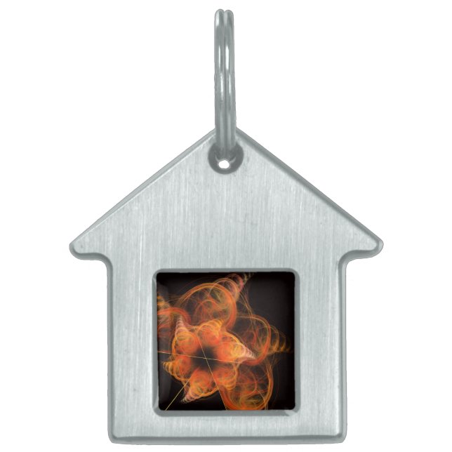 Médaillons Pour Animaux Domestiques Lightworks Maison d'Art Abstraite (Devant)