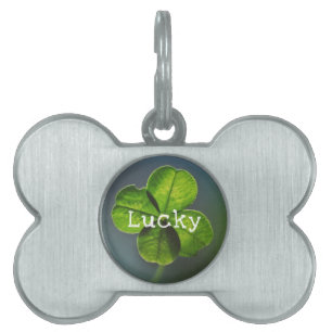 Médaillons Pour Animaux Domestiques Lucky Green Four Leaf Clover