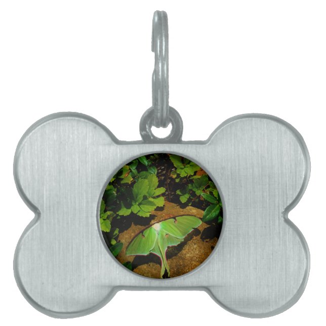 Médaillons Pour Animaux Domestiques Luna verte géante (Devant)