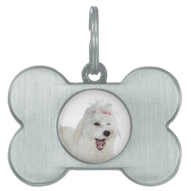 Médaillons Pour Animaux Domestiques Maltese Lote Cute Fluffy White Lili (Devant)