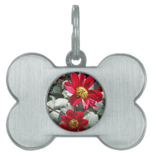 Médaillons Pour Animaux Domestiques marguerite rose chaud rouge / marguerites fleurs