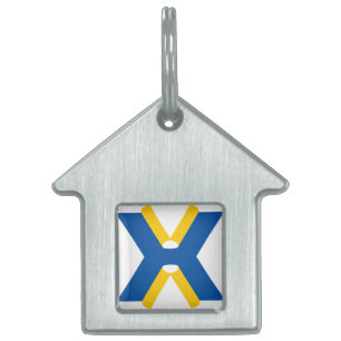 Médaillons Pour Animaux Domestiques Monogramme de lettre X bleu et jaune