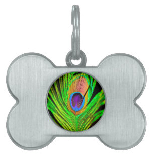 Médaillons Pour Animaux Domestiques Neon Colors Peacock Feather