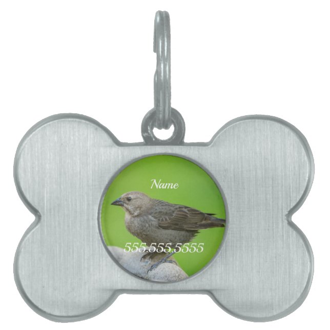 Médaillons Pour Animaux Domestiques Numéro d'identification de l'animal de compagnie B (Devant)