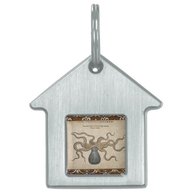 Médaillons Pour Animaux Domestiques Octopus Kraken Illustration Vintage (Devant)