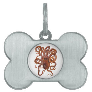 Médaillons Pour Animaux Domestiques Octopus Macropus Atlantique Blanc tacheté Octopus