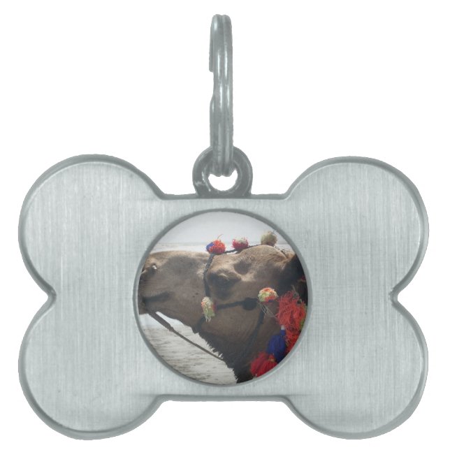 Médaillons Pour Animaux Domestiques Oman ! Mascate (Devant)