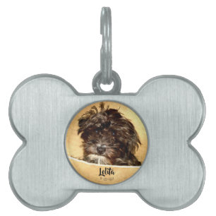 Médaillons Pour Animaux Domestiques Os en forme d'os pour Schnoodle