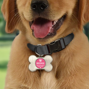 Médaillons Pour Animaux Domestiques Os identificateur en forme d'os pour chien avec em