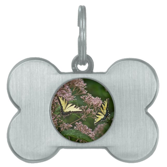 Médaillons Pour Animaux Domestiques Papillons à queue de tigre sur Joe Pye Weed (Devant)