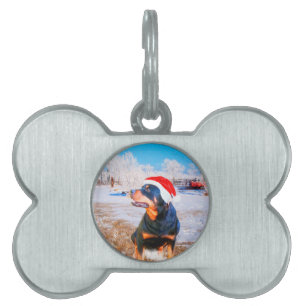 Médaillons Pour Animaux Domestiques Peinture de Noël de chien Rottweiler