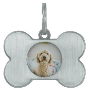 Médaillons Pour Animaux Domestiques Photo personnalisé sur mesure