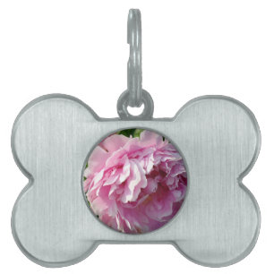 Médaillons Pour Animaux Domestiques Pivoine rose cottage photo ferme florale jardin