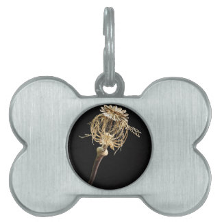 Médaillons Pour Animaux Domestiques Poppy