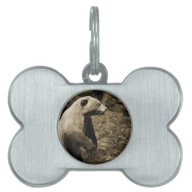 Médaillons Pour Animaux Domestiques Proud Bear (Devant)