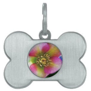 Médaillons Pour Animaux Domestiques Rose de carême rose,