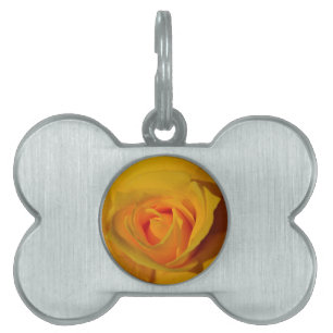 Médaillons Pour Animaux Domestiques Rose jaune