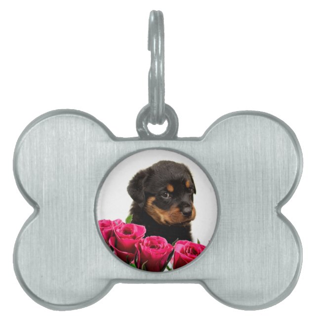 Médaillons Pour Animaux Domestiques Rose Valentin Rottweiler Puppy (Devant)