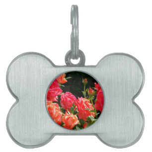 Médaillons Pour Animaux Domestiques Roses de corail romantique