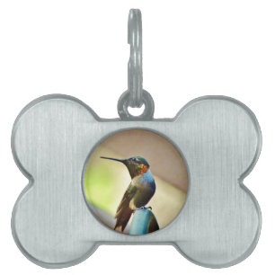 Médaillons Pour Animaux Domestiques Ruby perché et petit colibri vert