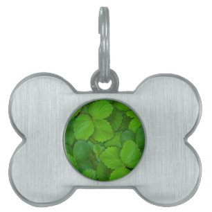 Médaillons Pour Animaux Domestiques Saint Basil Tulsi Green Mint Feuilles