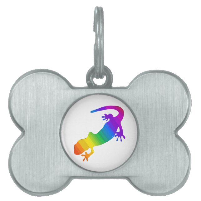 Médaillons Pour Animaux Domestiques Salamandre rayée arc-en-ciel (Devant)