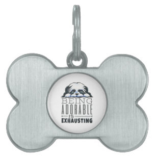 Médaillons Pour Animaux Domestiques Shih Tzu Être adorable