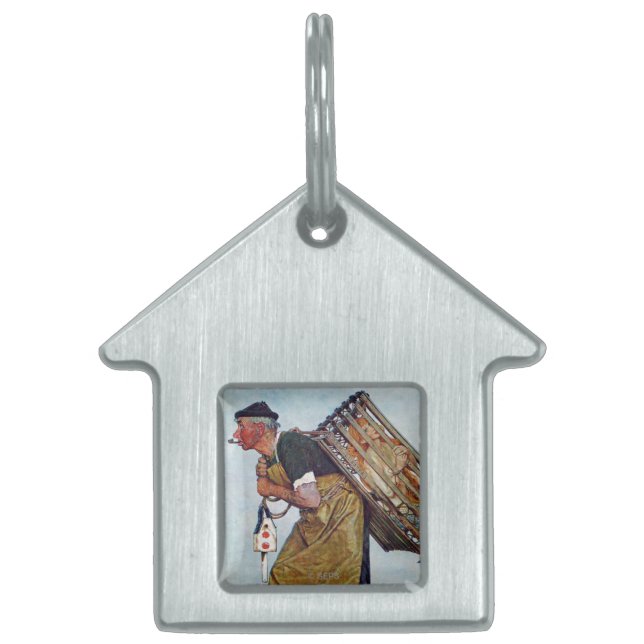 Médaillons Pour Animaux Domestiques Sirène (Devant)