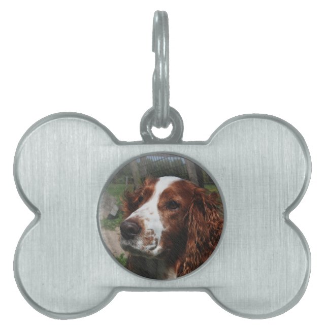 Médaillons Pour Animaux Domestiques Springer Spaniel Chien Art (Devant)
