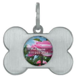 Médaillons Pour Animaux Domestiques Superbe rose rose dans le ciel bleu. Photographie