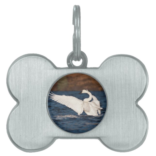Médaillons Pour Animaux Domestiques Swan (Devant)