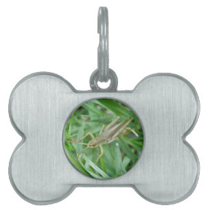 Médaillons Pour Animaux Domestiques Tag de animal de compagnie Grasshopper