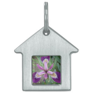 Médaillons Pour Animaux Domestiques Tag de animal de compagnie Iris violet