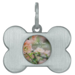 Médaillons Pour Animaux Domestiques Tag de animal de compagnie Quince Flower