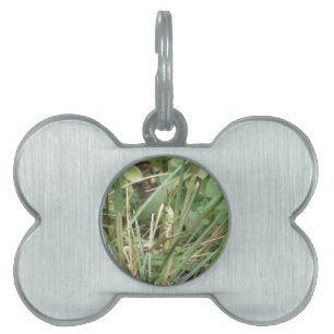 Médaillons Pour Animaux Domestiques Tag de l'animal de compagnie Camouflage Grasshoppe