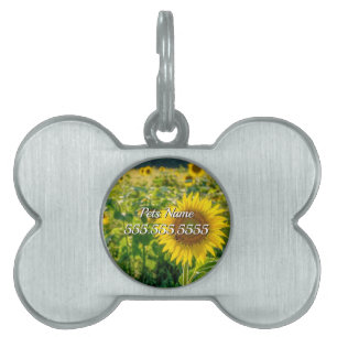 Médaillons Pour Animaux Domestiques Tag de l'animal de compagnie de tournesol doré