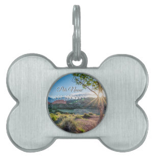 Médaillons Pour Animaux Domestiques Tag de l'arbre de dieux Sunburst Pet