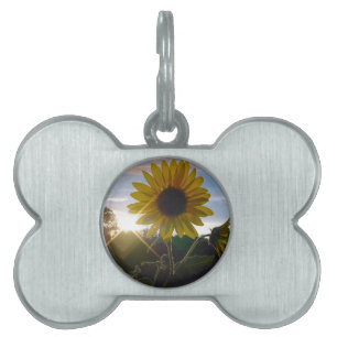 Médaillons Pour Animaux Domestiques Tag Sunset Sunflower Pet