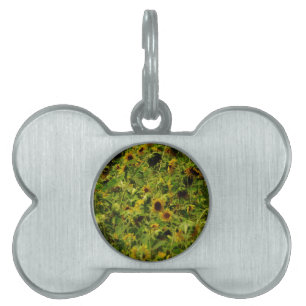 Médaillons Pour Animaux Domestiques Terrain de tournesol
