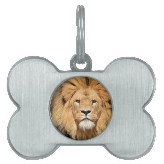 Médaillons Pour Animaux Domestiques Tête de Lions